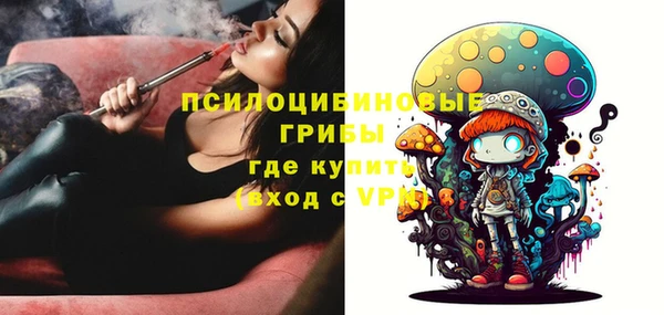 индика Майский