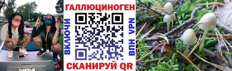 Галлюциногенные грибы GOLDEN TEACHER  Североморск 