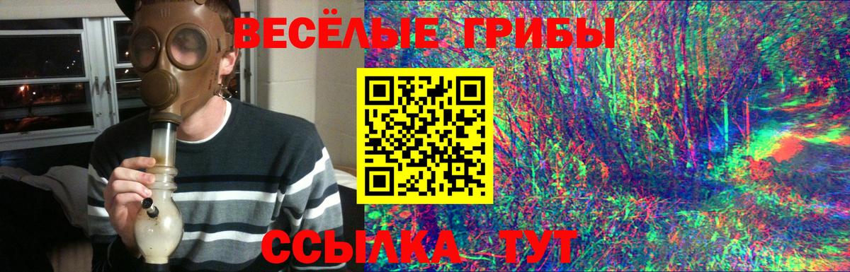 Галлюциногенные грибы Cubensis Североморск