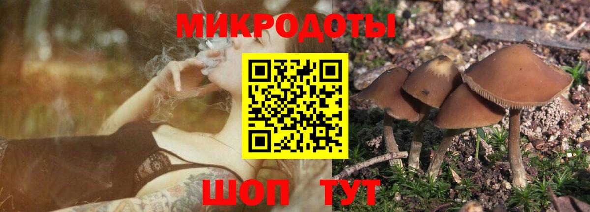 Псилоцибиновые грибы Cubensis  Вход с VPN  Североморск 